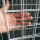 Vinyl Dilapisi Dilas Wire Mesh Panel